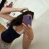 zippy_stei