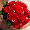 user7316150858195