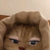 _zyx67na