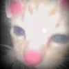 ngwaphw