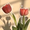 lujain.elsayed