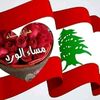 user2514495203486