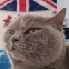 willvr123