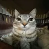 mart0oo_