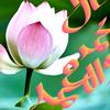 user32417290127786