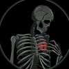 nour.elden77