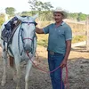solino335