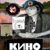 victor.tsoi5