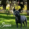 user1973986737845