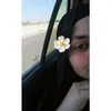 bydaa_2