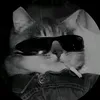 15_xtar