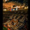 bilalnasif_10