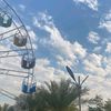 rano_208