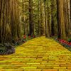 yellow_brick_road30