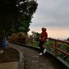 widisenja0