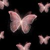 zcorpio🦋