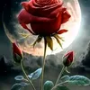 user5929619581872
