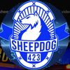 Sheepdog