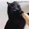 kiozzoo_