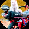 muneeb.bhatti30