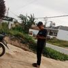 amrivivo48