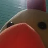 duck_me8