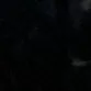 lu._.what2