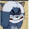 nhincacgi31