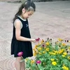 lionlion9329