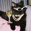 sparklingwwine