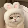 dangheoconxui1004