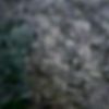 noemil.com