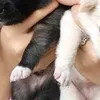 rawr34190