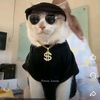 siti.samsiah559