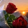 rania_rania087