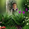 user12635622313381