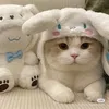 cooolaaaa_