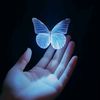 🦋𝐍𝐢𝐥ᥫ᭡𝐏𝐫𝐨𝐣𝐚𝐩𝐨𝐭𝐢🦋