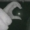 dfggm13