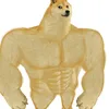 babauka03