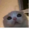 karina_43032