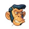 Rufi animation