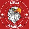 aguia.vermelha_