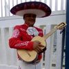 el.mariachi785