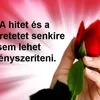 user9473807668666
