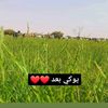 user7687315662909
