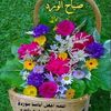 user9738002629694