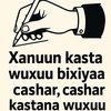 mss.sacdiya8