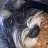 eloise_dti