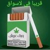 user4445190967587